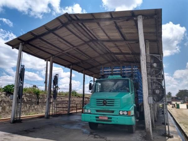 Antes do início do abate, as aves são recepcionadas por meio da apresentação do guia de trânsito animal (GTA), boletim sanitário, ficha do lote e resultado de salmonela.