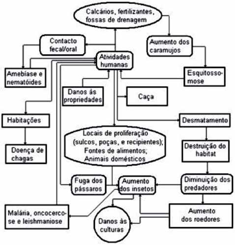 Figura 8.8 Relação entre ambiente e doenças. Fonte: BONILLA; PORTO (2001).