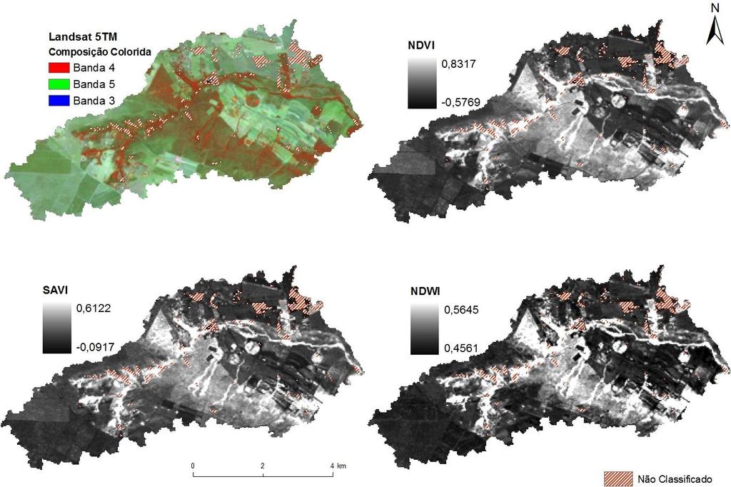 Figura 7: Mapas da bacia experimental do córrego Sarandi gerados através da composição colorida (superior