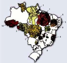Figura 02 Clusters de casos novos de hanseníase, ordenados VHJXQGRRFRHÀFLHQWHGHGHWHFomRQRSHUtRGRGHD Brasil Fonte: Penna, MLF - MS, 2008.