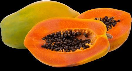 Já o termo papaia identifica o fruto mais arredondado.