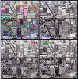 Exemplo de polarização Imagem de RADAR na banda C com diferentes