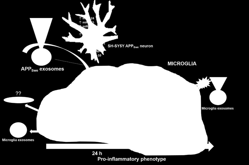 AD neurons.