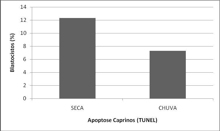 117 Não foi encontrada diferença significativa (P > 0,05) no teste de TUNEL em blastocistos cultivados até o D-8 com relação as estações climáticas observadas neste estudo, embora, a porcentagem de