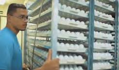 " Totalmente conectado ao segmento de produção de ovos, Marcelo Barbosa vê à frente o caminho da proteína animal que está presente na maioria das mesas da família brasileira: "O ovo é uma proteína