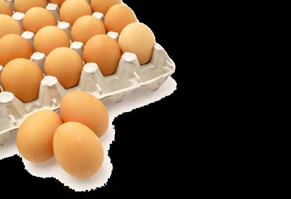 SUIAVES Lumance Produção de ovos livre de antibióticos, além de sustentável, também rentável Lumance é um aditivo composto por óleos essenciais, extratos vegetais, ácido butírico, monobutirinas e