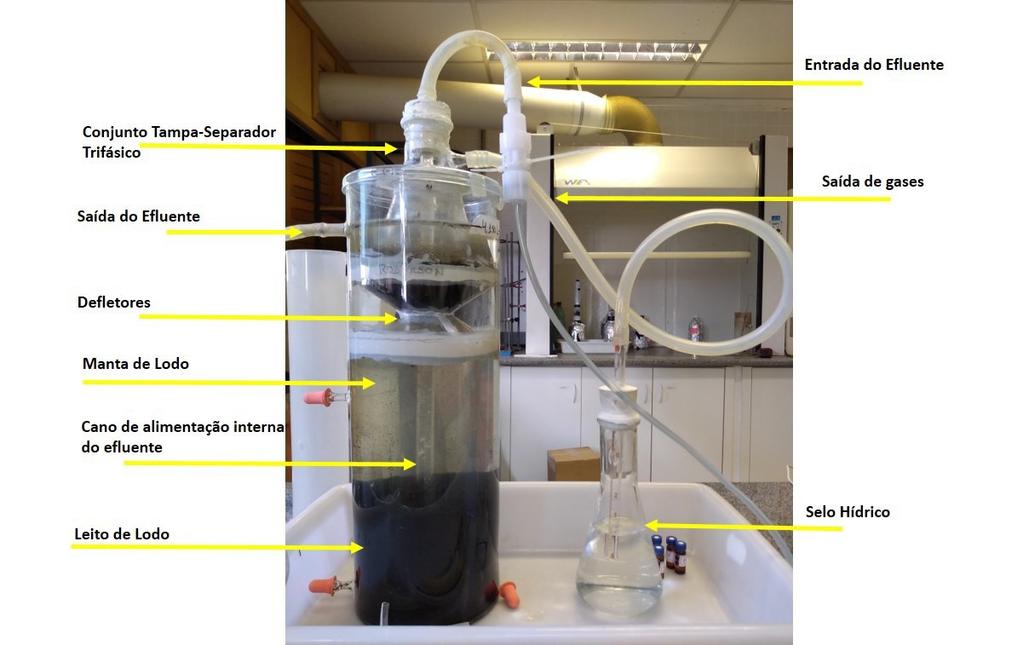 41 Figura 4 - Reator do tipo UASB utilizado no projeto Fonte: Autoria Própria (2020) Os gases produzidos da digestão anaeróbia foram direcionados pela oliva do Kitasato para o selo hídrico através de