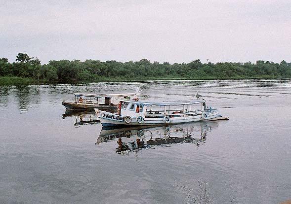 O transporte de carga nos rios amazônicos ocorre em comboios de chatas, ou seja, várias balsas acopladas umas às outras, que transportam soja, minérios ou derivados do petróleo.