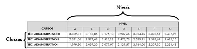 10 organizacionais, classes e níveis. a) Grupo organizacional: agrega cargos com mesmo nível de escolaridade (básico, médio/técnico profissional e superior).