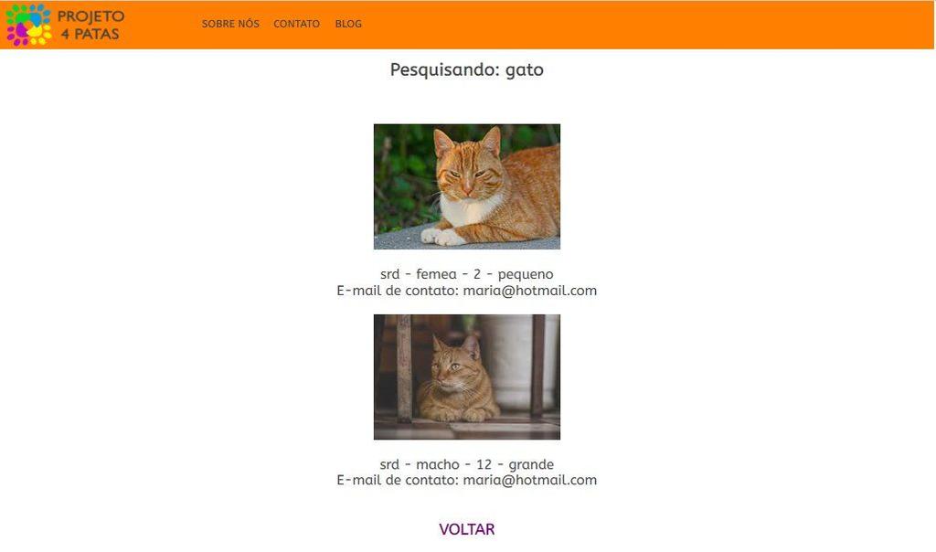 A figura 10 apresenta um exemplo da tela de visualização dos gatos disponibilizados para adoção, com as imagens, descrição do animal e informações de contato do