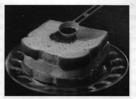 sanduíche". Faça um sanduíche simples de pão com manteiga (sem azeitonas) para representar uma parte da membrana celular. Despeje sobre ele uma colher (de chá) de corante.