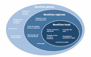 20 Pagamento por Serviços Ambientais na Mata Atlântica - Lições aprendidas e desafios Dois terços da população brasileira, que vivem em áreas de abrangência da Mata Atlântica, dependem do provimento