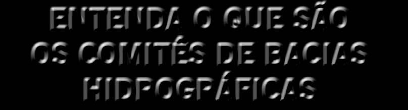 239/99, o Comitê é um órgão colegiado que emite pareceres, estabelece resoluções e