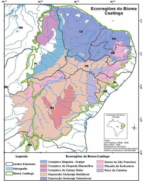 19 Figura 4. A Caatinga e suas Ecorregiões.