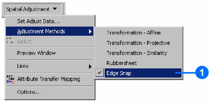 2. No menu Spatial Adjustment, clique sobre a opção Options