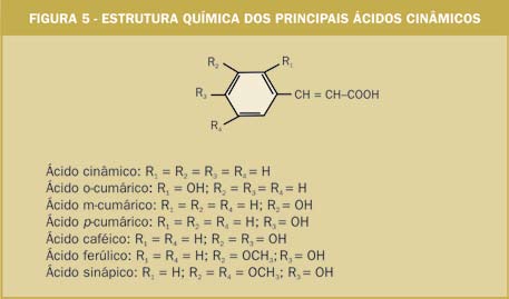 Dossiê antioxidantes polar contida em óleo de oliva refinado foi testada nele mesmo através do método de Shall (estufa a 60ºC, na ausência de luz), determinandose o índice de peróxido como indicador