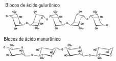 quebradiço, apresentando características tixotrópicas. Rigidez dos géis dos produtos fabricados se adapta ao mesclarem os alginatos M e G na proporção desejada.