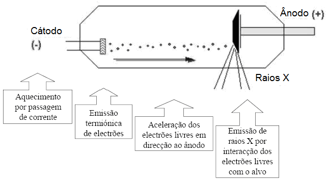 que ocorram colisões com outras partículas.[webb,2003] Figura 1: Esquema de um tubo de raio X. Ilustração de produção de raios X.