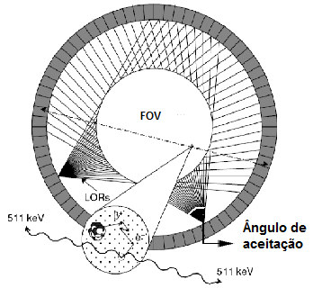 Figura 17: Anel completo de detectores em PET. É ilustrado um determinado conjunto de LORs possíveis para o FOV seleccionado.