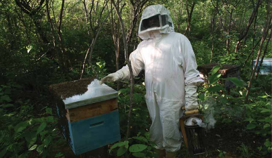 55 Das colmeias, o mel vai direto para o Centro Comunitário de Produção para garantir mais renda aos apicultores.