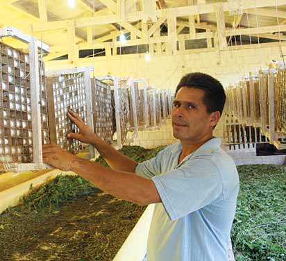 A fazenda de 50 mil hectares, anteriormente dedicada à monocultura de soja, transformou-se em um dos mais bem-sucedidos programas de democratização de acesso à terra, beneficiando 2.