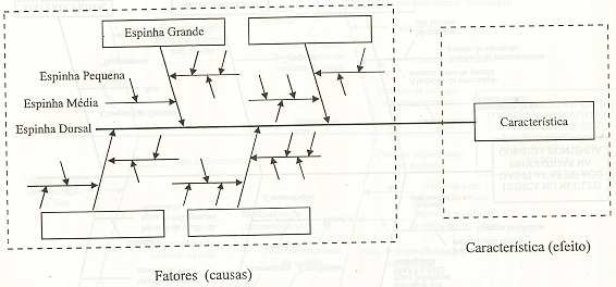 18 A figura 1 apresenta um modelo de um diagrama de causa e efeito, relacionando as etapas que devem ser seguidas durante a construção do mesmo.