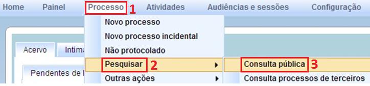 h) Consultando Processos h.1) Consulta Pública Para fazer uma consulta pública aos processos cadastrados no PJe, clique em Processo, na barra de menu superior (fig.