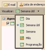 Guia do Usuário Avançado Cliente Web ZCS Para criar uma agenda: 1. Na aplicação Agenda, clique com o botão direito do mouse em Agenda e selecione Nova agenda. 2.