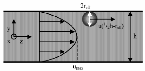 Introução 3.5 µm a 15 µm, raio o polímero ~.5 µm a.5 µm).