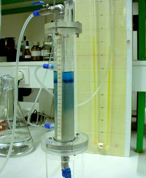 Materiais e Métoos ajua e um tubo e silicone anexao a uma seringa, aicionam-se 1 ml e uma mistura conteno 15 ml e azul extrano a g/l e 85 ml a solução aquosa e glicerol a 3% (v/v).