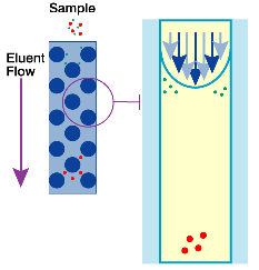 Introução A cromatografia e exclusão molecular baseia-se no equilíbrio que se estabelece entre a fase móvel e a fase estacionária.