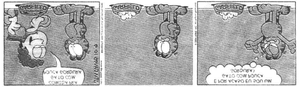 1 (Folha de S. Paulo, 11 de outubro de 2004). Na tira de Garfield, a comicidade se dá por uma dupla possibilidade de leitura.