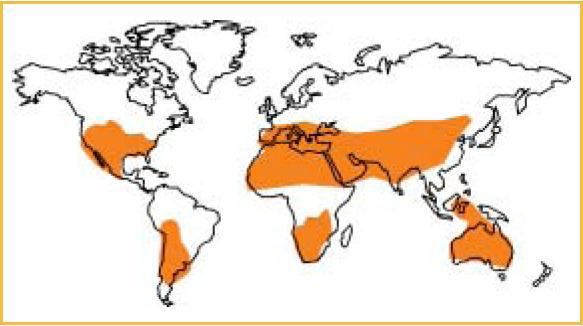 4 As calhas ou cilindros parabólicos consistem em sistemas paralelos de espelhos curvos em uma dimensão para focar os raios solares.