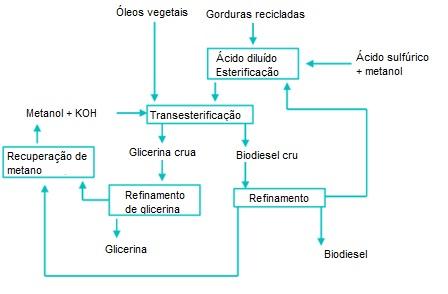 Outra fonte é o chamado licor negro, resíduo da fabricação de papel, que pode ser saponificado para gerar um óleo contendo ácidos graxos, ácidos resinosos e ésteres.