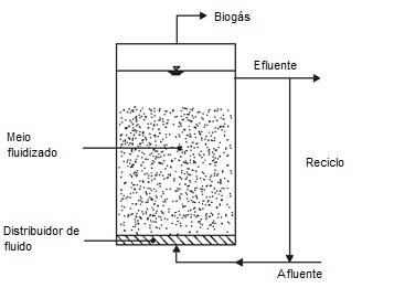 No UASB, o líquido a ser tratado é injetado no fundo do digestor e passa pelo manto de lodo, onde estão os micro-organismos que irão digerir o material.