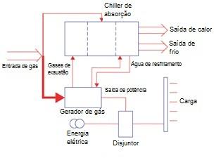 As vantagens da cocombustão são a flexibilidade no uso de combustível, já que não há uma proporção fixa entre a biomassa e o carvão, além do aumento da eficiência da usina.