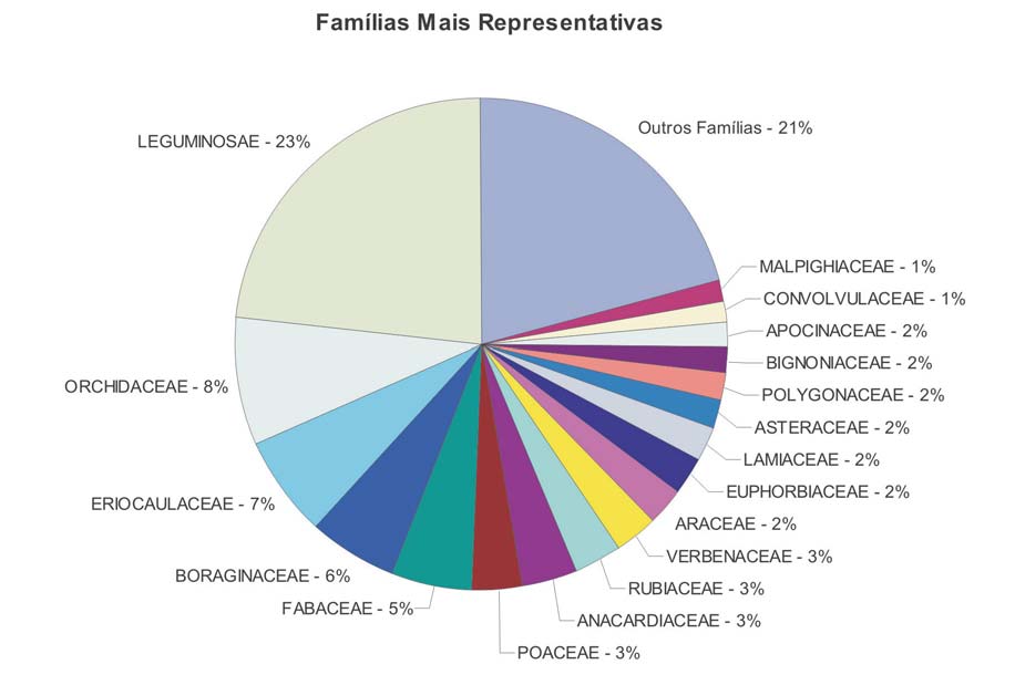Ministério da Ciência e Tecnologia Porcentagem de amostras por família no banco de DNA do LAMOL Os projetos de filogenia molecular desenvolvidos na UEFS, além de refinarem o entendimento sobre as