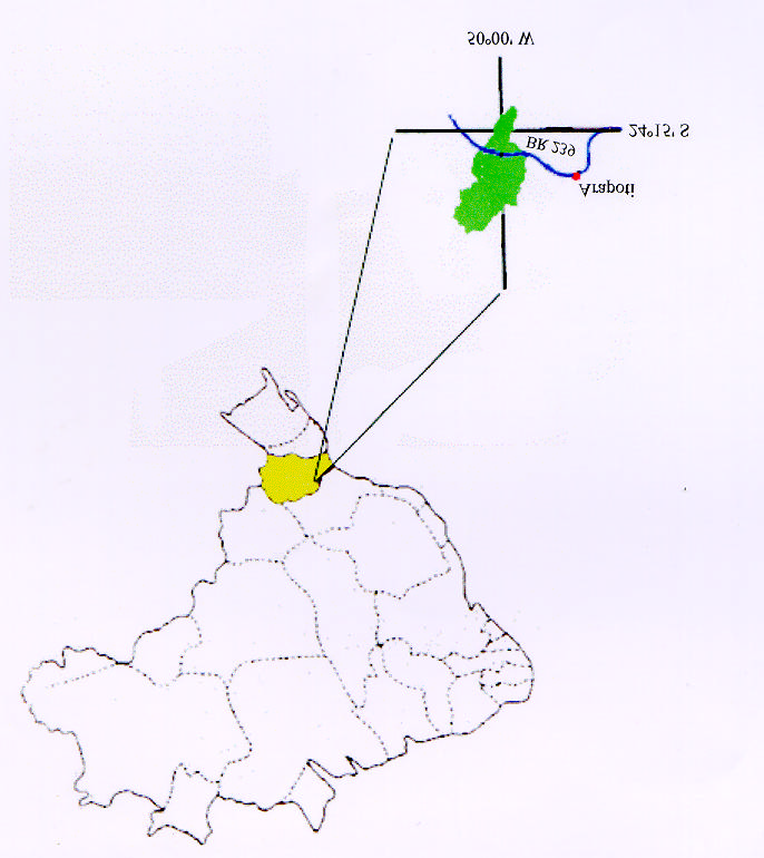 29 FIGURA 9 - Localização da fazenda São Nicolau (verde), pertencente à INPACEL S/A.