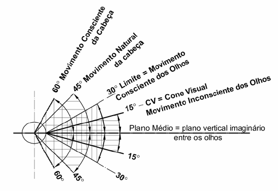 Na posição sentada o cone visual apresenta uma inclinação de 8º para baixo.