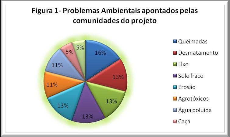 No levantamento realizado, cujo resultado pode ser visualizado na Figura 1, as brocas (derrubada de árvores e arbustos para preparar a área de plantio) e as queimadas apareceram como os problemas