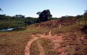 Preservação da vegetação nativa e conservação dos recursos hídricos 82 Preservação da vegetação nativa e conservação dos recursos hídricos Impacto Qualidade