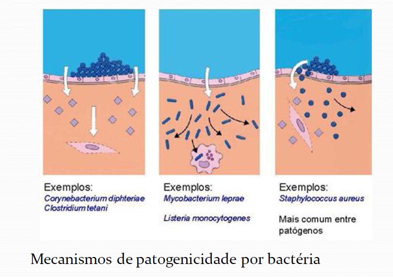 Mecanismos de