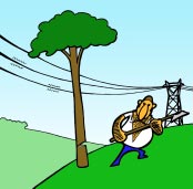 Não se aproximar de uma árvore cuja copa esteja muito perto dos cabos condutores de uma linha de Muito Alta Tensão ou Alta Tensão e não a tentar abater ou decotar.