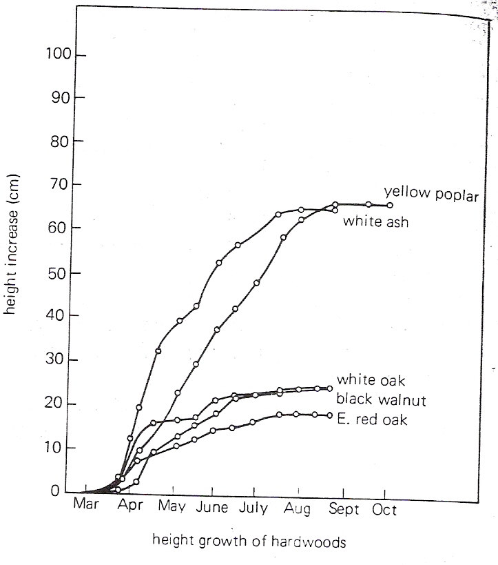 Figura 12 Curvas de crescimento de algumas espécies arbóreas durante uma estação de crescimento (Salisbury & Ross, 1991). 5.