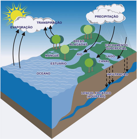 15 Para entender a origem da escassez é preciso analisar o ciclo da água, onde este foi interrompido ou corrompido, [.