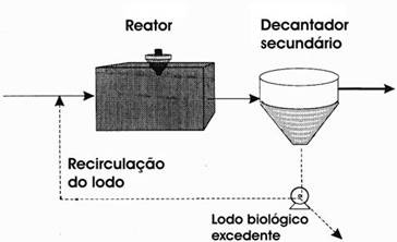 rápida, usa-se a DQO. Ambas são expressas em kg DQO (ou DBO)/m 3 dia. A remoção de matéria orgânica é a diferença no teor de DQO ou DBO antes e após o tratamento.