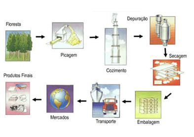 Um fluxograma do processo de produção da celulose e do papel é mostrado na Figura 7. Figura 7 - Fluxograma do Processo de Produção de Celulose e de Papel (SIMS, 2009).