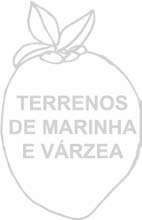 TERRENOS DE MARINHA E VÁRZEA TERRENOS DE MARINHA E VÁRZEA VÁRZEAS são as áreas localizadas ao longo dos rios, que são influenciadas por épocas de cheia e vazante.