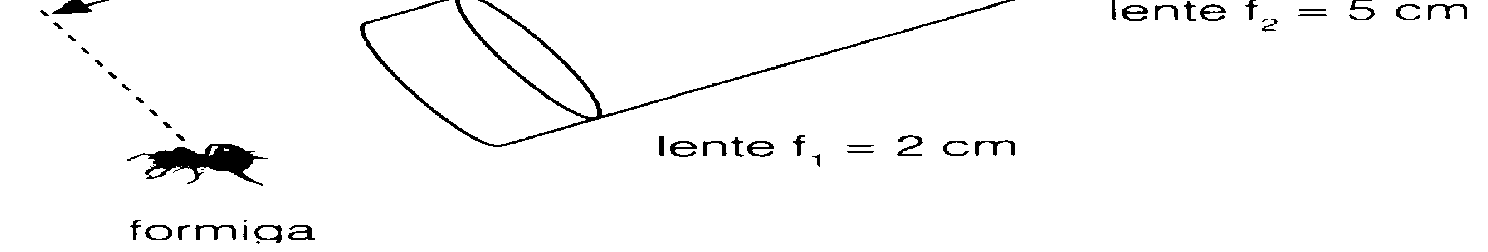 Um microscópio consiste de duas lentes biconvexas dentro de um tubo metálico, conforme indica a figura a seguir.