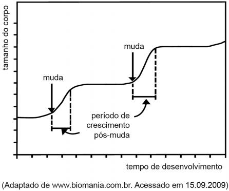 05 - (UFCG PB) Animais invertebrados, como moluscos e anelídeos, representam importante papel econômico e ecológico.